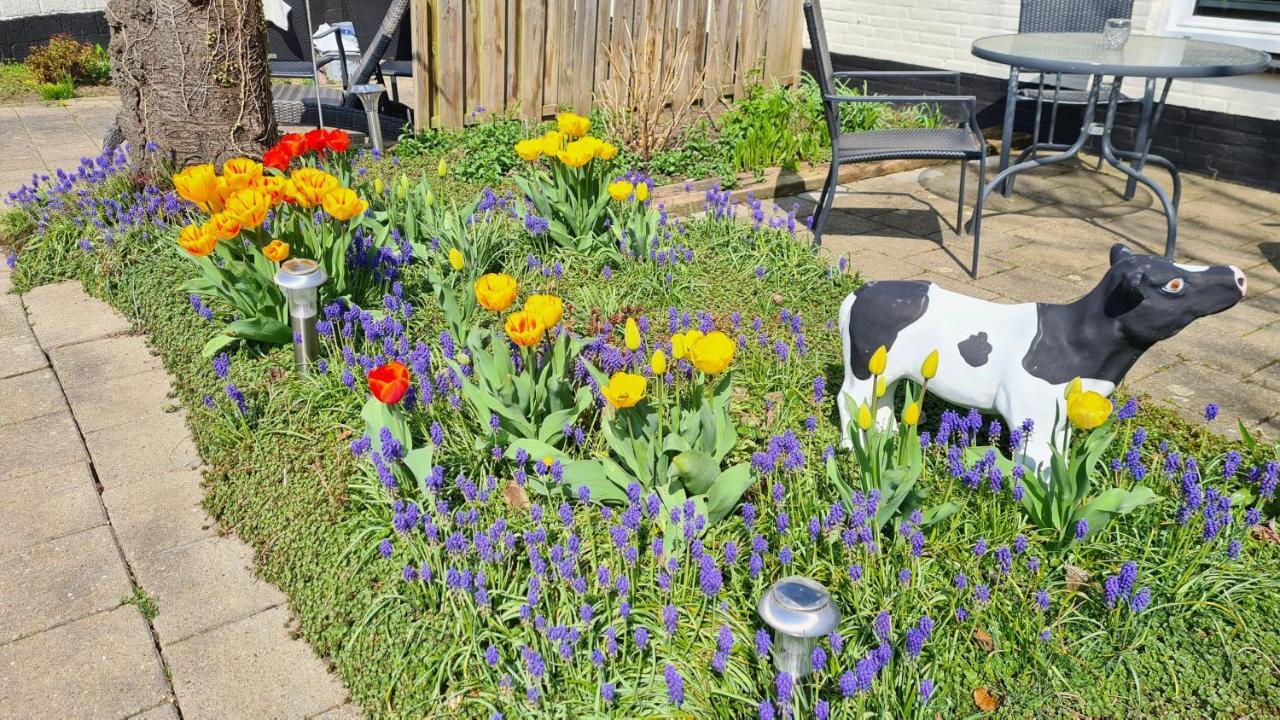 Roos Guesthouse Holiday Appartements Valkenburg aan de Geul Exterior foto